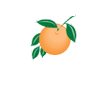 Orange County Florida government logo