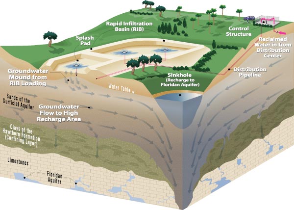 Diagram showing reclaimed water traveling from the rapid infiltration basin (RIB) into the sands of the surficial aquifer below. The water follows a primarily lateral flow pattern above the the clays of the Hawthorn Formation (confining area) until reaching areas of low resistance that permit significant vertical flow downward into the Floridan aquifer.